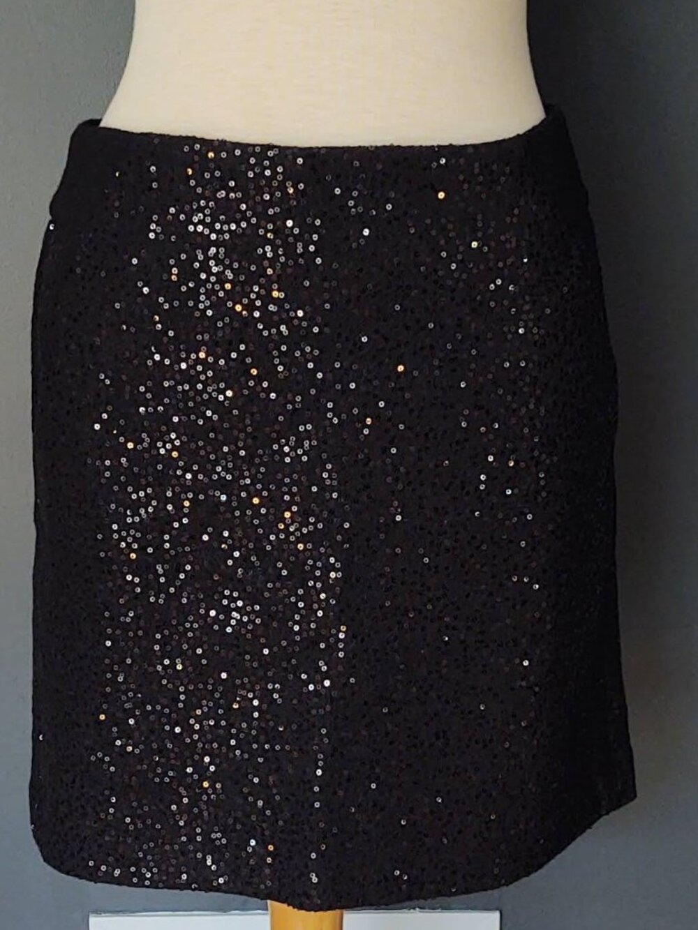 Rayon/wool blend sequined skirt with pockets